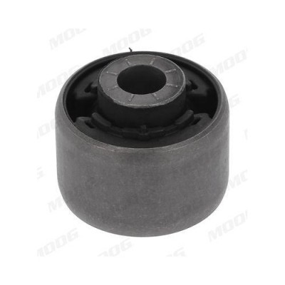 Moog suport, trapez foto