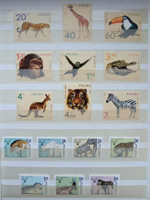 Clasor timbre fauna MNH foto