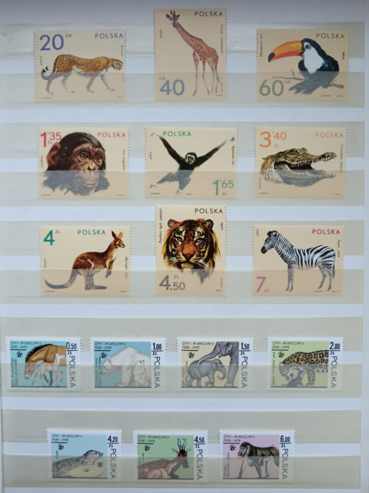 Clasor timbre fauna MNH