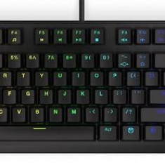 Tastatura Gaming Mecanica Endorfy Thock TKL Brown, iluminare RGB, Cu fir, Switch Kailh Brown, Layout US (Negru)