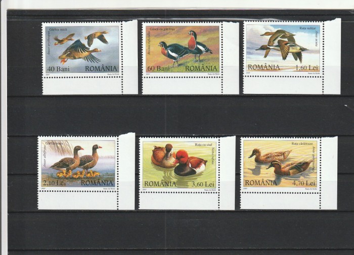 ROMANIA 2007 LP 1771 RATE SI GASTE SALBATICE SERIE MNH NESTAMPILATA