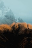 Tablou Canvas, "Munții &Icirc;ncețoșați și Iarba Aurie", Munți, Iarbă, Ceață, Pitoresc, Natură, Contrast, Răsărit, Serene, Peisaj, Alpin, 26 x 39 cm, CMCLAS