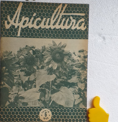 Revista Apicultura 6/1959 foto