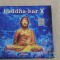 Buddha Bar X BY RAVIN - 2 CD URI , FARA ZGARIETURI !