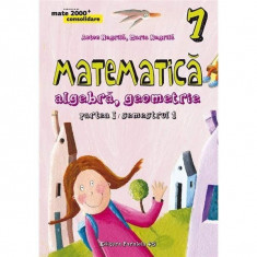 Matematica: algebra, geometrie - Clasa a VII-a. Partea I - Maria Negrila,Radu Gologan,Anton Negrila foto