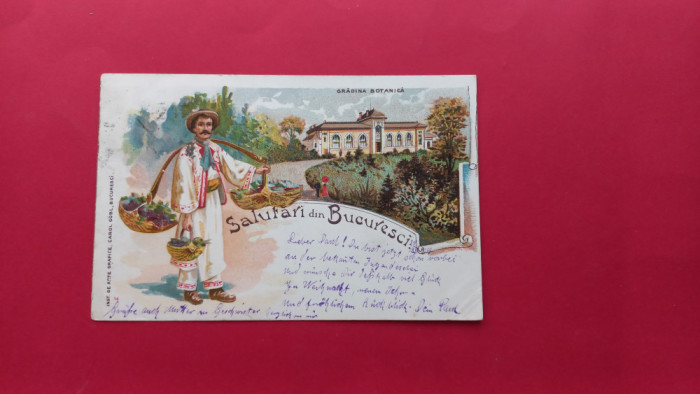 Litho Salutari din Bucuresti Gradina Botanica Litografie