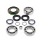 Kit rulmenti si simeringuri grup spate Can-Am BRP 4Ride AB25-2069