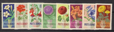 1964 - Flori de gradina, serie neuzata foto