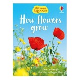 How Flowers Grow