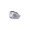 Far Hyundai Santa Fe (SM) 02.2001-03.2006 DEPO partea Dreapta tip bec H4, carcasa gri, electric