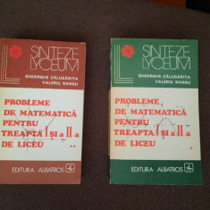 Probleme de matematica pentru treapta I si a II-a de liceu*2 vol.GH CALUGARITA