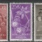 Guinea Spaniola 1958 - Fluturi 3v MNH
