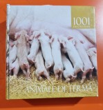 Animale de ferma - 1001 de fotografii