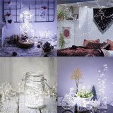 (DL) Instalatie lumina decorativa cu 300 LED-uri, telecomanda, 30m, iluminare alba Household NewTrend