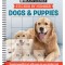 Brain Games - Sticker by Number: Dogs &amp; Puppies (Square Stickers): Create Beautiful Art with Easy to Use Sticker Fun!