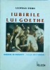 Leopold Stern - Iubirile lui Goethe