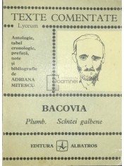 Adriana Mitescu - Bacovia - Plumb. Scantei galbene (Editia: 1976) foto