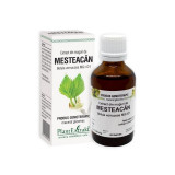 Cumpara ieftin Extract din muguri de Mesteacan, 50 ml, Plant Extrakt