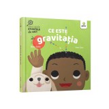 Ce este gravitatia