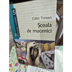 Scoala de Mucenici - Calin Torsan
