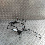 Cablaj ușă dreapta spate TESLA MODEL S 2018 OEM: 1004426-00-R 31873620
