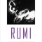 Rumi: Poems from the Divan-E Shams