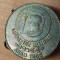 Insigne (5) SNR Arad