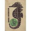 Zoologia Vertebratelor, Alexandru V. Grossu, 1967, 768 pagini, Didactica si Pedagogica, Biologie, Carte