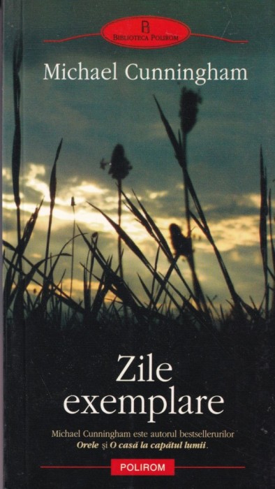 Michael Cunningham - Zile exemplare