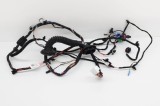 Cablaj ușă dreapta față TESLA MODEL 3 2018 OEM: 1067963-00-D 11424798