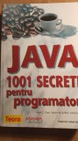 Java ,1001 secrete pentru programatori,mark chan. / 0159