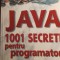 Java ,1001 secrete pentru programatori,mark chan. / 0159