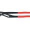 Cleste Papagal 415Mm