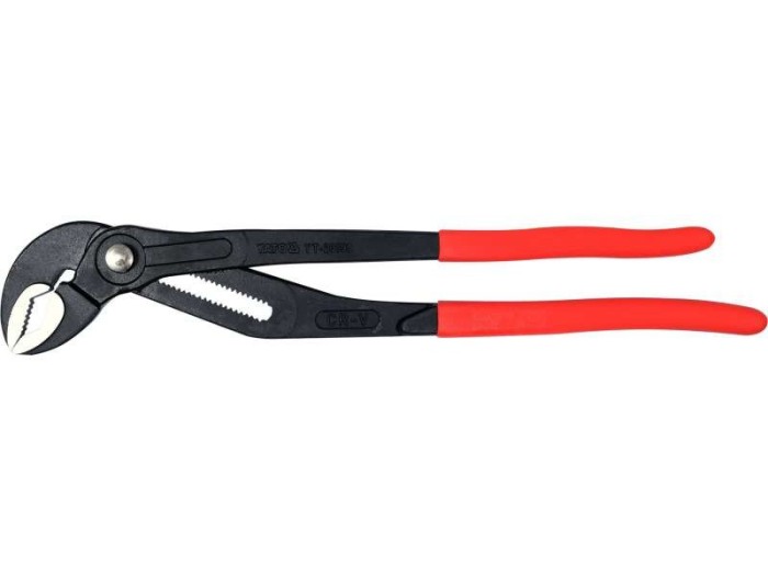 Cleste Papagal 415Mm