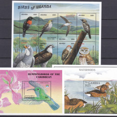 DB1 Fauna Pasari Uganda Gambia Dominica 3 SS MNH