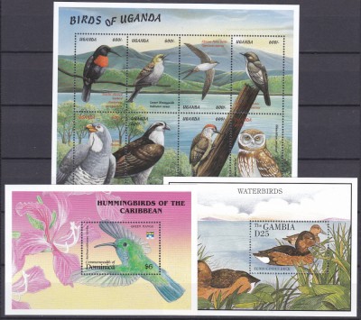 DB1 Fauna Pasari Uganda Gambia Dominica 3 SS MNH foto