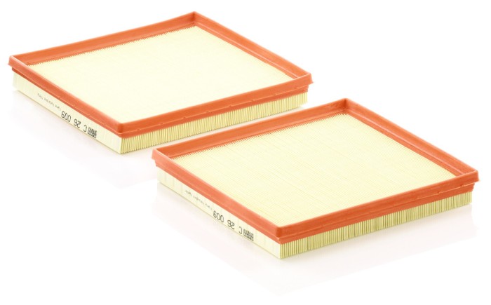 MANN-FILTER C 26 009-2 Filtru aer