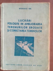 Lucrari folosite in ameliorarea terenurilor erodate si corectarea torentilor- Badescu Gh. foto