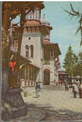 CPI B14594 - CARTE POSTALA - VEDERE DIN SLANIC MOLDOVA, RPR foto
