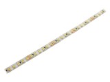 Bandă LED KGP ELECTRONICS 3528 120 LED/m Alb Rece IP65 8,5mm PCB 120&deg;