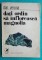 Foto  - 1