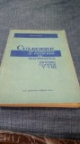 CULEGERE DE EXERCITII SI PROBLEME DE MATEMATICA PENTRU CLASELE V-VIII TUDOR DANUT