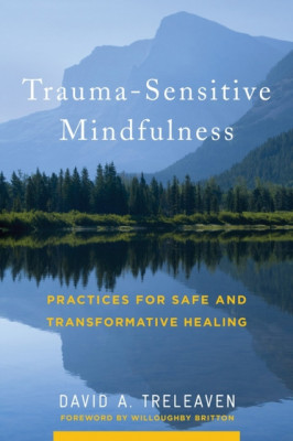 Trauma-Sensitive Mindfulness: Practices for Safe and Transformative Healing foto