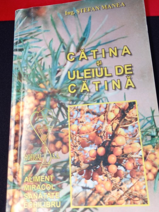 CATINA SI ULEIUL DE CATINA STEFAN MANEA