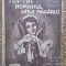 P. J. Stahl - Tus-Tus Romanul unui Magarus