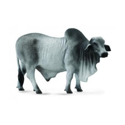 Figurina taur brahman l collecta foto