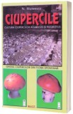 Ciupercile. Ghid de recunoaștere, cultura lor si rețete culinare