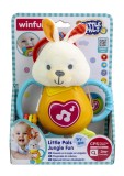 Winfun Zornaitoare Iepuras cu Sunete si Lumini, Jucarie Bebelusi, +3 Luni