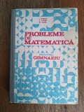 Probleme de matematica pentru gimnaziu - I. Petrica / R5P3F