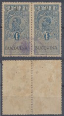 ROMANIA anii 1920 pereche timbru fiscal uzat Ferdinand 1 Leu supratipar BUCOVINA
